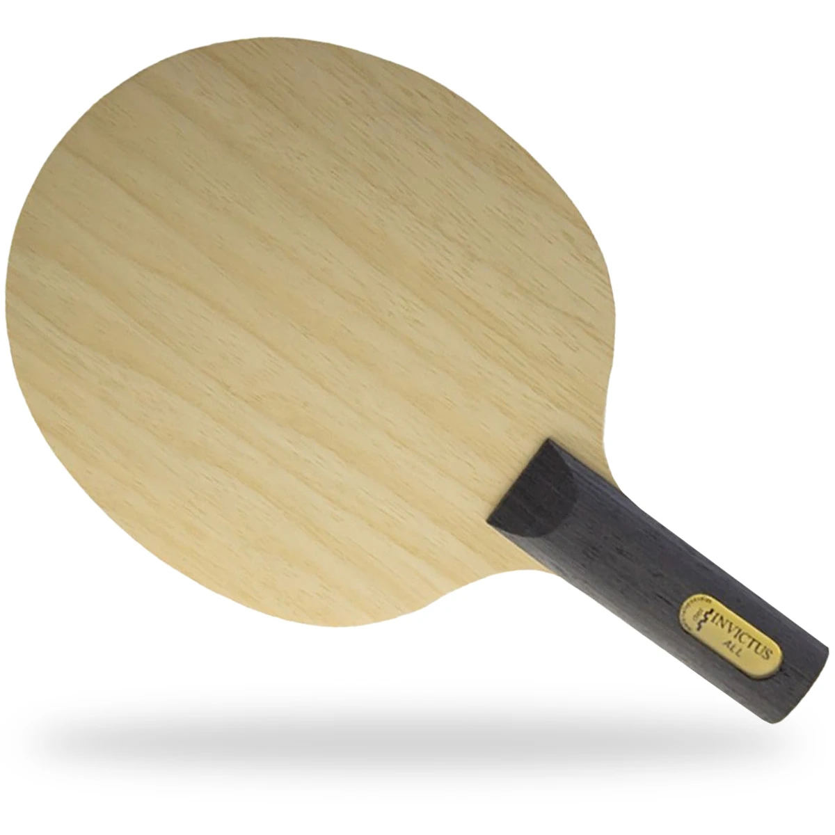 Der Materialspezialist Holz Invictus Konkav